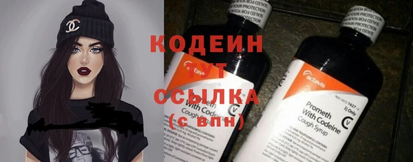 соль ск Козловка