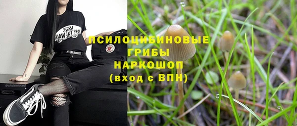 экстази Козельск