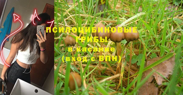 экстази Козельск