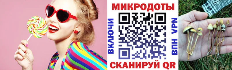 Купить  Аткарск  Галлюциногенные грибы прущие грибы 